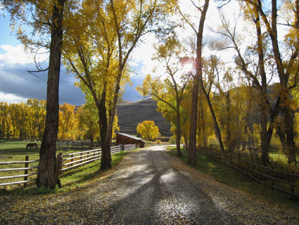 Lot 4<br>Danni Ranch