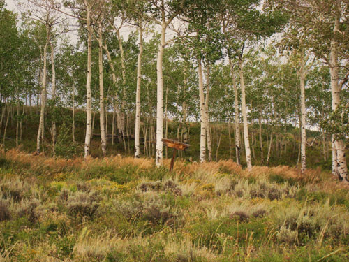 Lot 4<br>Danni Ranch