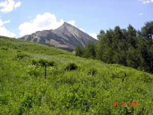 Lot 20, Chalet Village Addition 6<br>Mt. Crested Butte