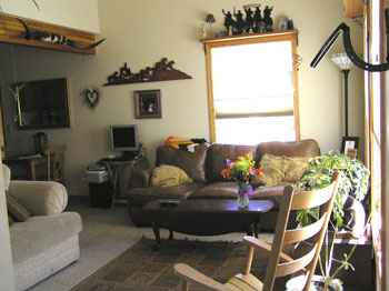 137-A Escalante<br>Crested Butte South
