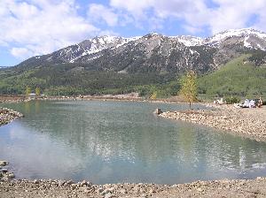 Lot S39<br>Larkspur