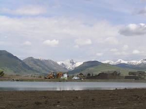 Lot S39<br>Larkspur