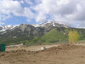 Lot S39<br>Larkspur