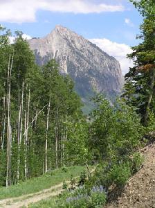 Lot 18<br>Pristine Point