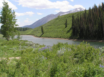 Lot 18<br>Pristine Point